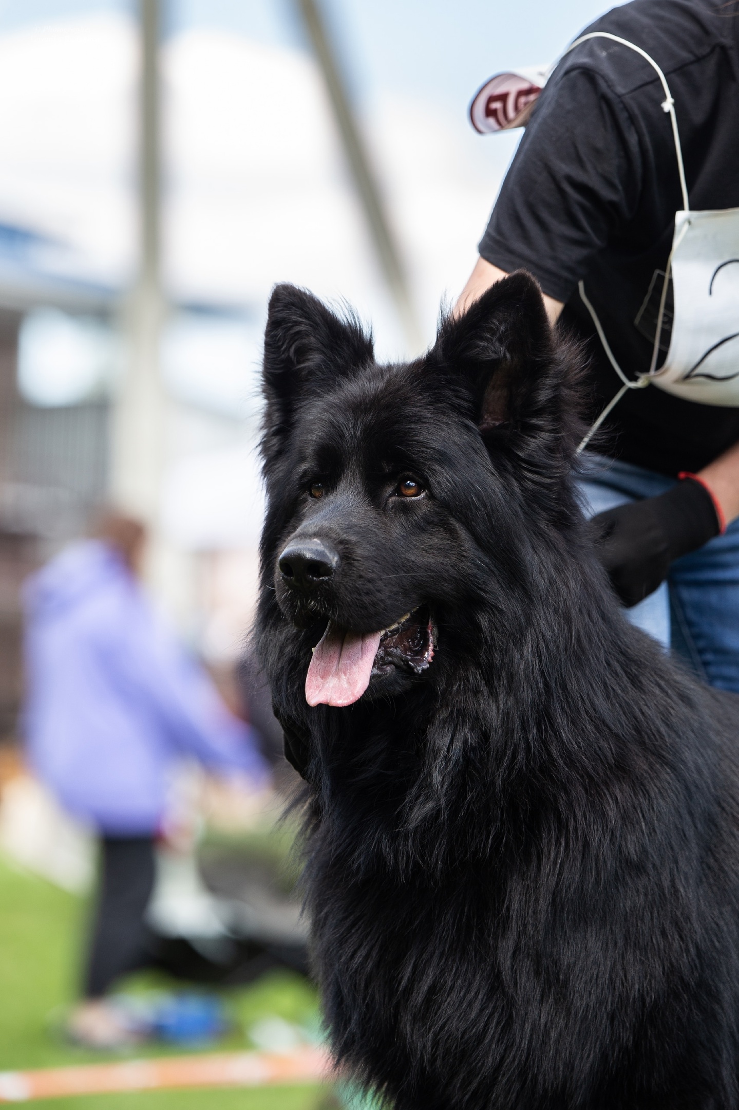 EQcvc7C 9jk