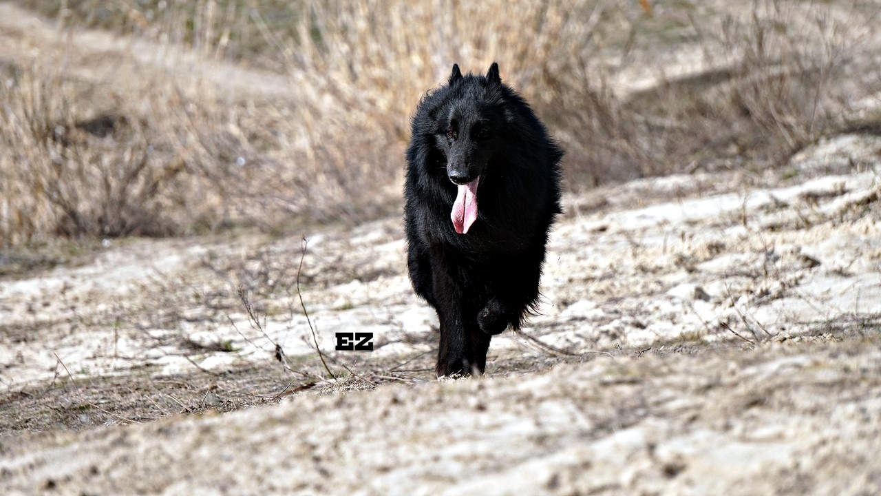 Moxie Mix Ile De France
