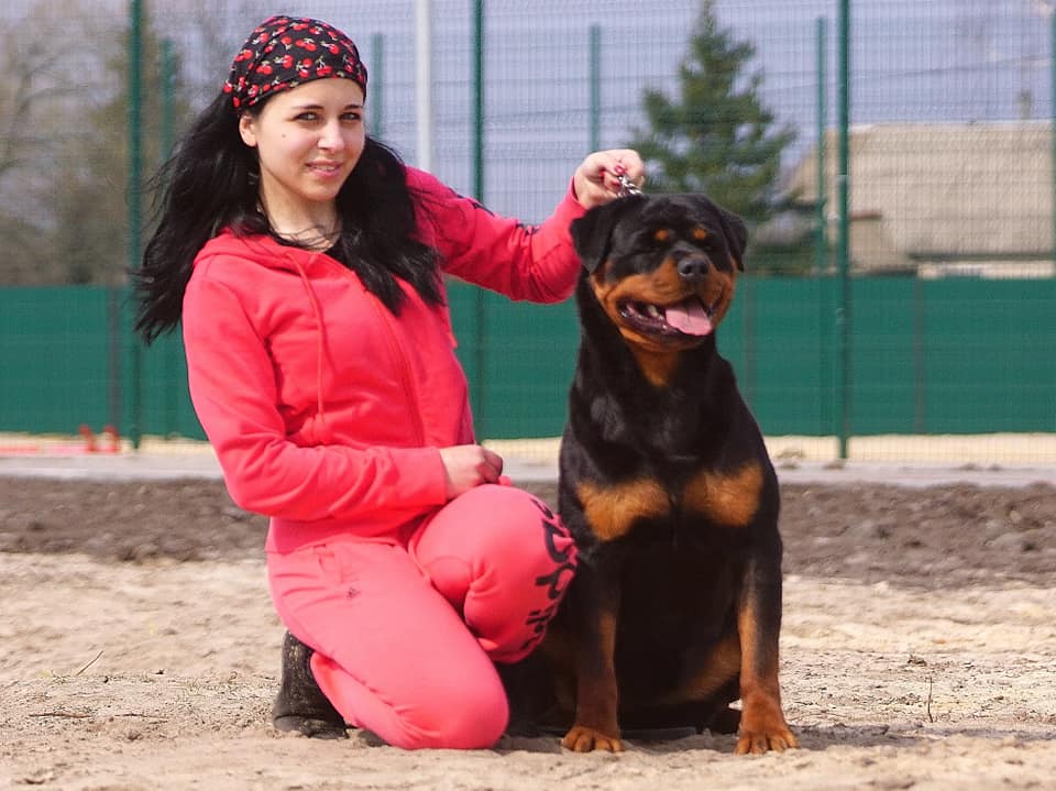 Хендлер Зейналова Эльвира