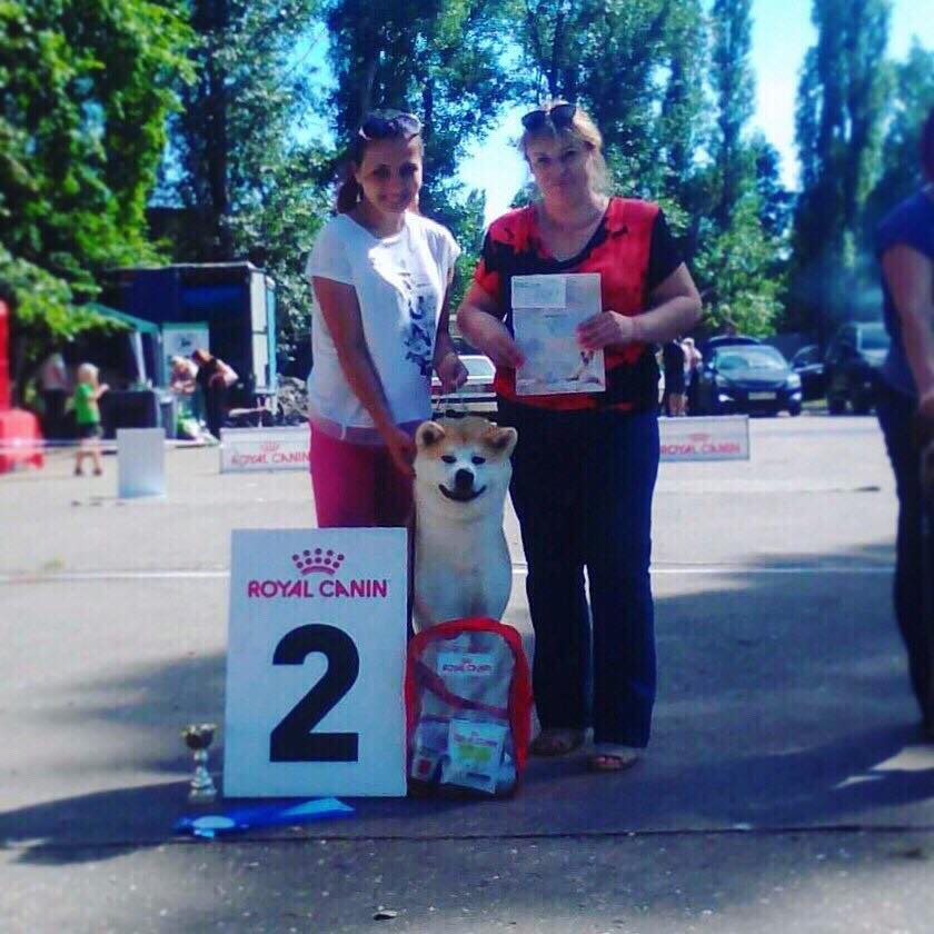 Хендлер Зейналова Эльвира