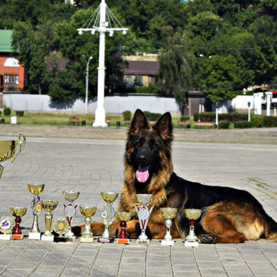 Новости