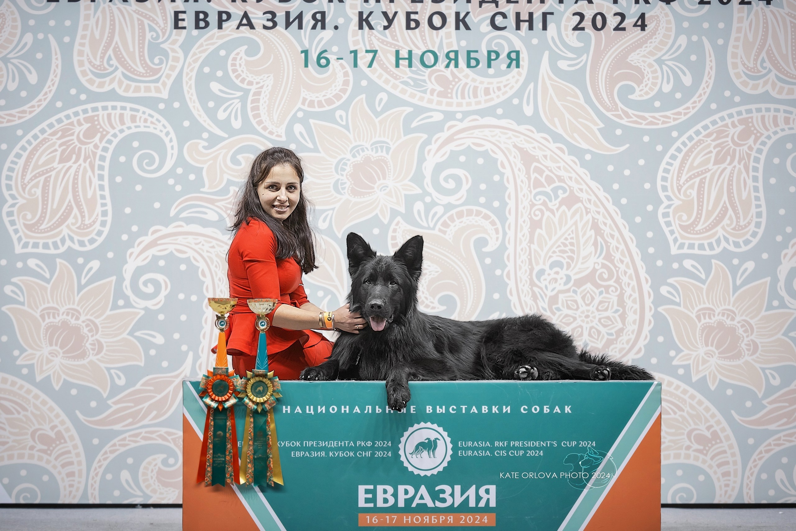 рагнар2